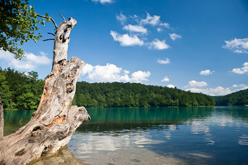 2009-07-17_16-18-09-Kroatien-_MG_5294