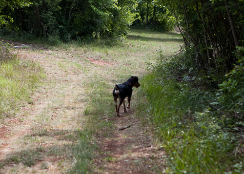 2009-07-25_11-24-29-Kroatien - Dvigrad klettern-_MG_5633